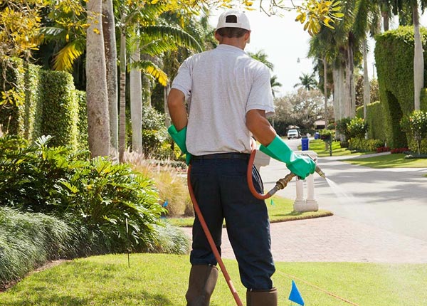 About Troy NH Pest Control